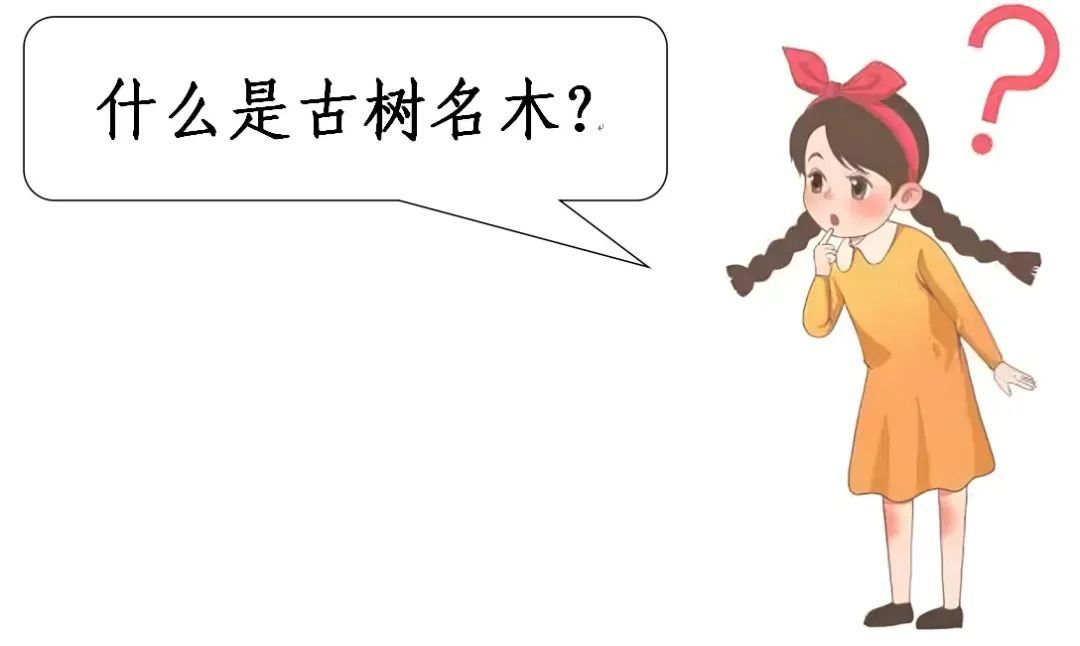 河南省鑫森源林業(yè)勘察規(guī)劃設(shè)計有限公司