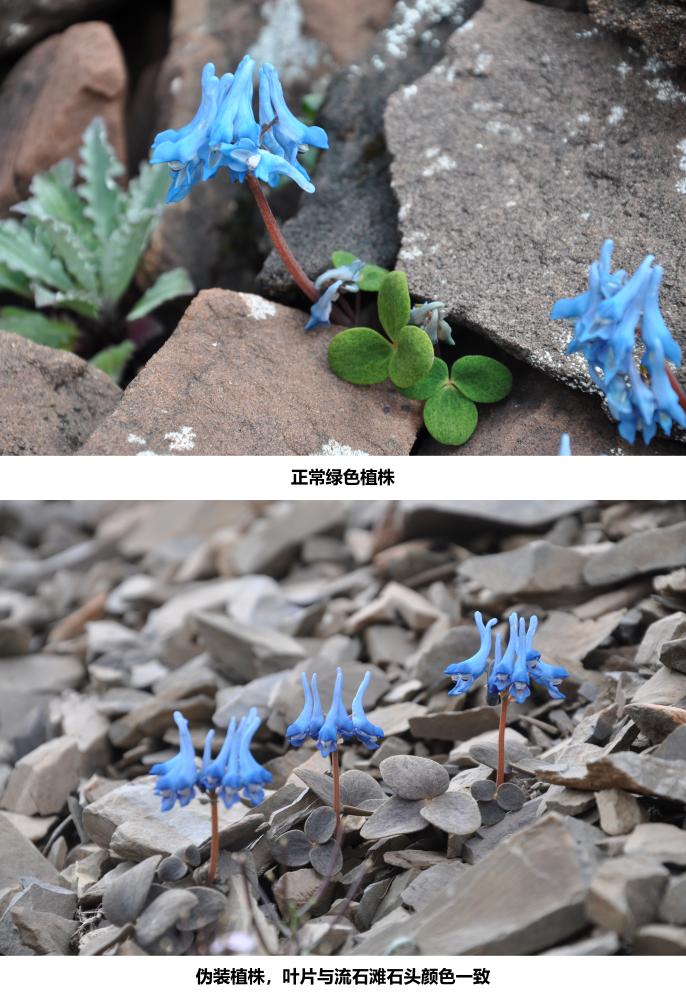 河南省鑫森源林業(yè)勘察規(guī)劃設(shè)計有限公司