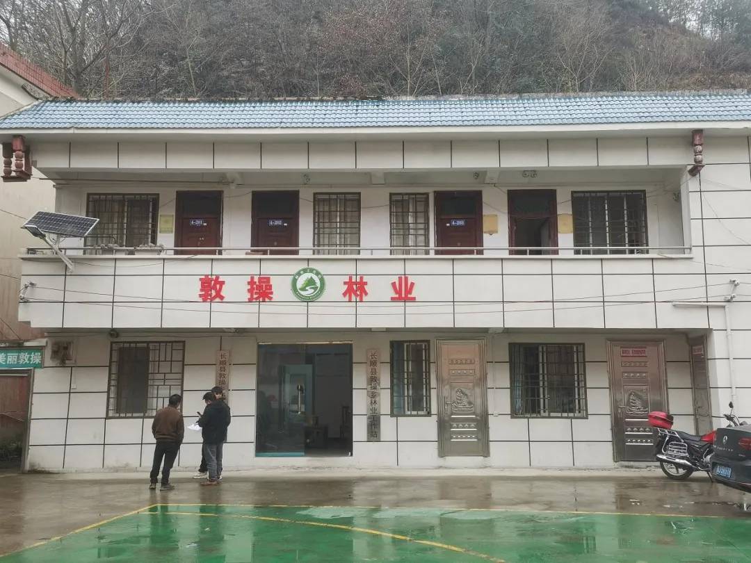 河南省鑫森源林業(yè)勘察規(guī)劃設(shè)計(jì)有限公司